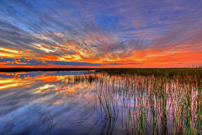 Colorful sunset at the everglades